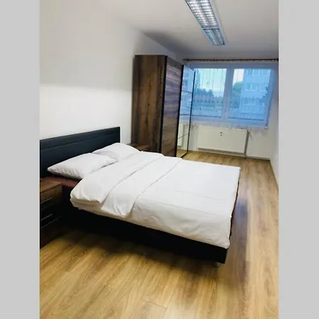 Solax, Ucnovska 8, Saca *